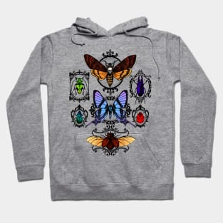 Framed Insects Hoodie